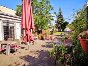 Zahrada ubytování Hotel Scholz
