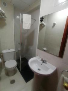 y baño con aseo, lavabo y ducha. en Hotel Besaya, en Torrelavega