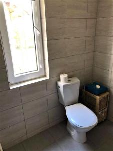 a bathroom with a toilet and a window at Domek pod Lipą in Narol +31 photos