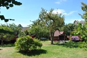 a garden with a house and a chair in the grass at Strand-Hotel Lobbe in Lobbe