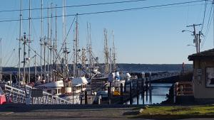 a bunch of boats docked at a dock at Harborside Inn in Port Townsend