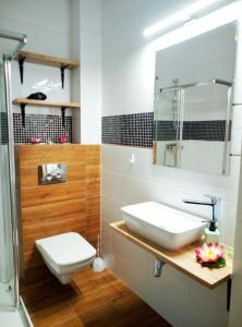 Et badeværelse på Apartamenty Garbary Loft