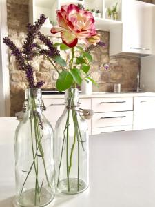 two glass vases with flowers in them on a counter at Ikuvium Home in Gubbio +43 photos