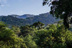 una vista de un bosque con montañas en el fondo en Casa Bacarirá - Floresta com Yoga e Café da Manhã Vegano, en Camburi