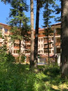 Gallery image of Excellent studios for your vacation-Hotel Villa Park- Borovets in Borovets