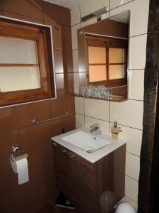 a bathroom with a sink and a mirror at Guesthouse Villa Zelenjak Ventek in Kumrovec
