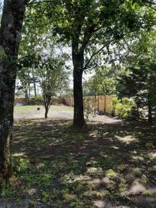 two trees in a field with a fence at Gîte les 2 pins - Audenge in Audenge