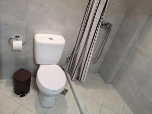a bathroom with a toilet and a shower at Panorama View Apartment 3 in Áyioi Apóstoloi +11 photos