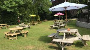 a group of picnic tables and umbrellas in a park at 20 Strawberry Hill cosy cottage sleeps 5 in Hayle