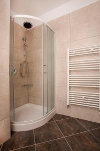prysznic ze szklanymi drzwiami w łazience w obiekcie Apartmani Dragica w Rovinj