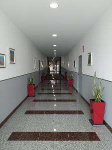 a hallway with potted plants in a building at Ancla Spaces nuevo apt cerca del mar, sin vistas in Vinarós