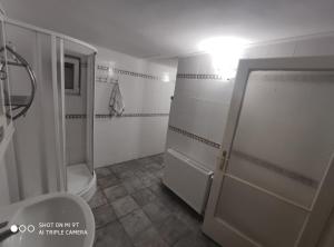 y baño pequeño con ducha y aseo. en Vintage Jakuzzis Vendégház, en Gárdony