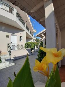 A balcony or terrace at Kalypso studio Resorts