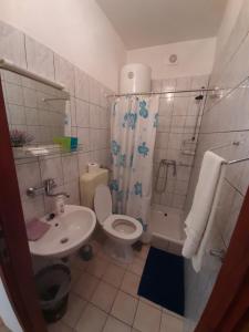 a bathroom with a toilet and a sink and a shower at Room Luka in Sveti Juraj