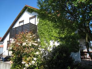 a white house with ivy on the side of it at Ferienwohnung Rheinzabern in Rheinzabern