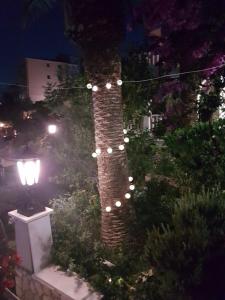 Un árbol con una cadena de luces. en Villa Clematis, en Trogir