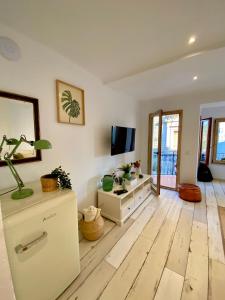 TV a/nebo společenská místnost v ubytování Apartaments Chenin Blanc-Priorat-