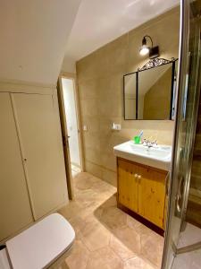 a bathroom with a sink and a toilet and a mirror at Apartaments Chenin Blanc-Priorat- in Cornudella +25 photos