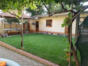 ein Garten mit Rasen vor einem Haus in der Unterkunft Casa Ala in Cahul