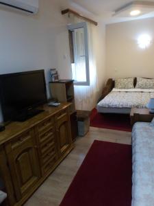 sala de estar con TV de pantalla plana y cama en Guest House Green view, en Pirot