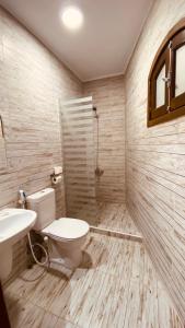 a bathroom with a toilet and a sink and a shower at Penguin Village Dahab in Dahab