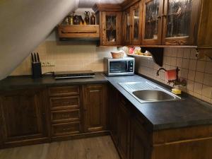 Kuchyňa alebo kuchynka v ubytovaní Palčovka - apartmán U Štěpána a U Dorotky