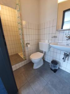 a bathroom with a toilet and a sink at Erlebnisland Grizzlybär in Längenbühl 