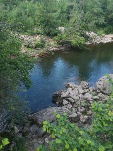 ein Wasserlauf mit Felsen und Bäumen in der Unterkunft Apartamentos rurales el capricho de carrio in Pola de Laviana