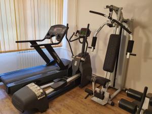 Fitness centrum a/nebo fitness zařízení v ubytování Zepter Hotel Drina Bajina Basta, member of Zepter Hotels