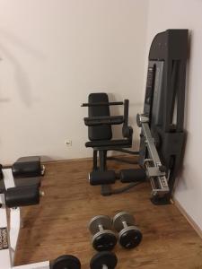 Fitness centrum a/nebo fitness zařízení v ubytování Zepter Hotel Drina Bajina Basta, member of Zepter Hotels