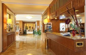 Vstupní hala nebo recepce v ubytování Hôtel du Grand Lac Excelsior + 34 fotografií