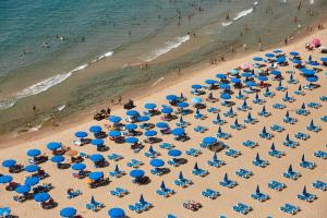 Zdjęcie z galerii obiektu Las Palmeras 15A w mieście Benidorm