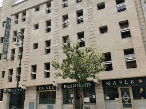 墨西哥城罗布莱酒店的一座大型石头建筑,前面有一棵树