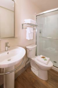 een badkamer met een toilet, een wastafel en een douche bij Basalt Mountain Inn in Basalt