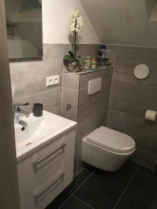 La salle de bains est pourvue de toilettes blanches et d'un lavabo. dans l'établissement An der Glocke, à Hennickendorf