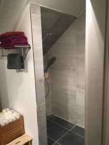 a walk in shower with a glass door at An der Glocke in Hennickendorf +14 photos