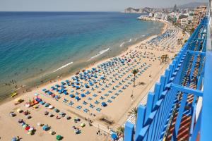 Zdjęcie z galerii obiektu Las Palmeras 15A w mieście Benidorm