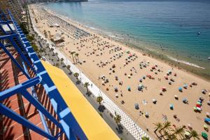 Zdjęcie z galerii obiektu Las Palmeras 15A w mieście Benidorm