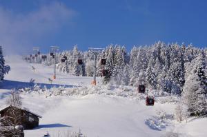 ヨッホベルクにあるMyApart Jochbergの木々が植わる雪に覆われたスキー場、スキーリフト
