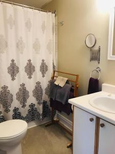 a bathroom with a toilet and a shower curtain at Auberge De Mon Petit Chum B&B in Wakefield