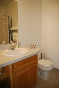 a bathroom with a sink and a toilet at Ponderosa Motel in Goldendale