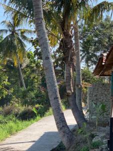 Villa Nextdoor Nature Yogyakarta外面的花园