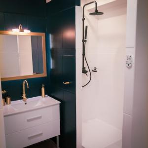 a bathroom with a white sink and a shower at Bleu Nuit in La Possession