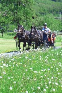 Montar a caballo en el agroturismo o alrededores