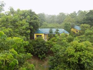 una casa en medio de un bosque de árboles en Jaldapara Inn Resort en Mādāri Hāt