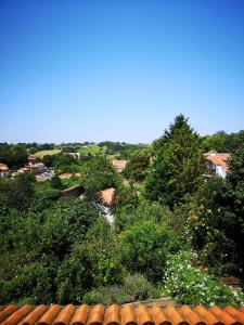 Táj Show holiday homes közelében
