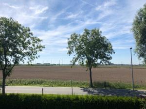 een weg met twee bomen aan de zijkant van een veld bij Bi Grete tohuus in Dornum