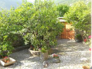 Gallery image of Apartments in Rustic House in Risan