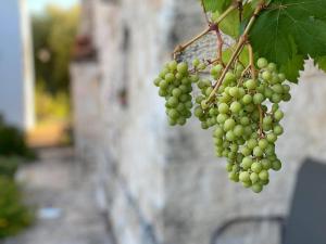 Fotografie z fotogalerie ubytování Il Palmento Hotel Relais v destinaci Locorotondo