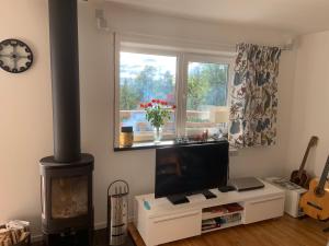 sala de estar con TV y chimenea en Fjällhus 1, en Höstsätern